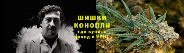 крисы Заводоуковск