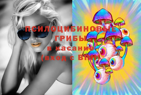 крисы Заводоуковск