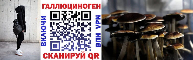 mega вход Горячеводский Галлюциногенные грибы Magic Shrooms